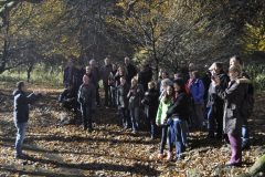 essen2015006